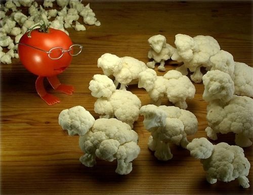 Flock of cauliflower.