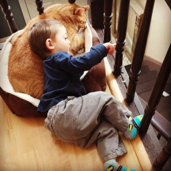 boy-cat-bestfriends-4