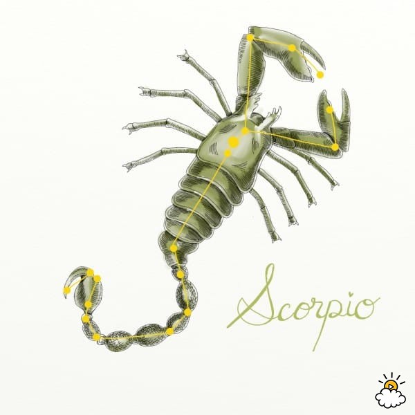 Scorpio (October 24 to November 21)