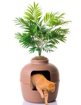 This amazing place to hide a cat litter box.
