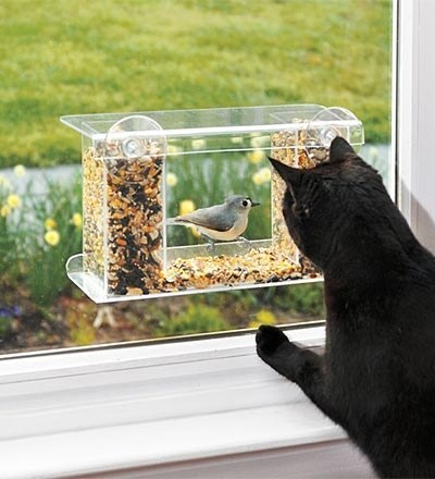 This window bird feeder, which is like TV FOR YOUR CATS.