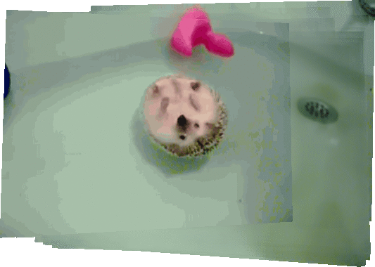 spinning bath hedgehog floating tub