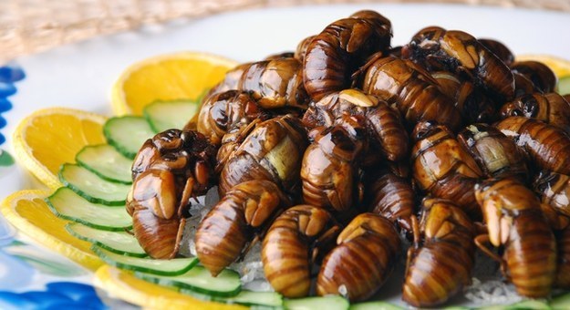 So you like insects? Then you'll love hachinoko, deep-fried bee larvae served as a yummy bar snack.