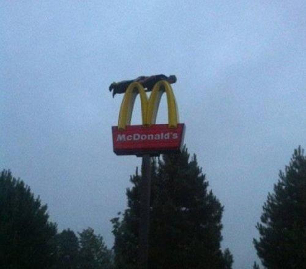 This dude planking on a McDonald&#39;s sign.