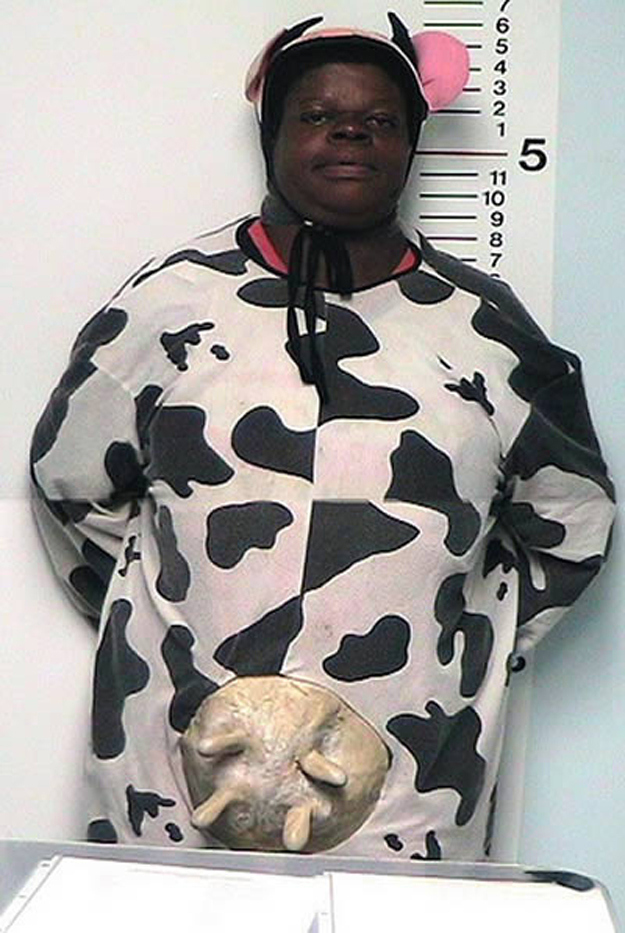 This person in a cow costume.