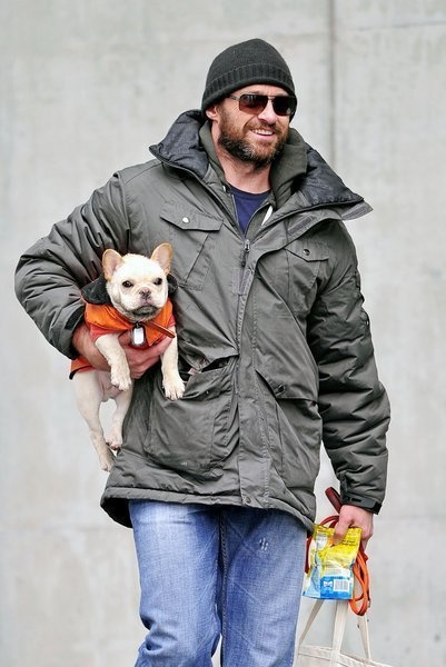 Hugh Jackman puts away his Wolverine claws to embrace his French bulldog Peaches. 