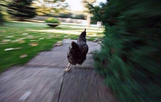 When you're snooping through your sister's stuff and you hear her coming up the stairs: