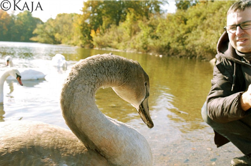 Kaja's shot caught the swan's neck at a particularly elegant angle, with her father peering at it from the background 