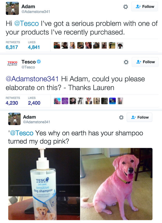 When a dog owner tweeted Tesco with his canine problems.