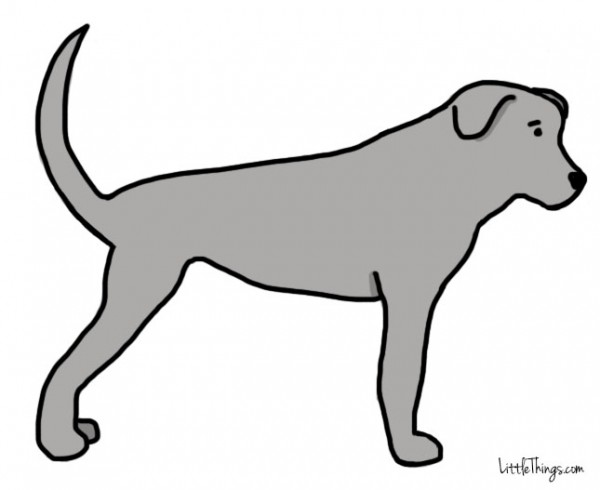 When a dog is in this position and his or her tail is also wagging back and forth, (s)he’s just trying to impress you.