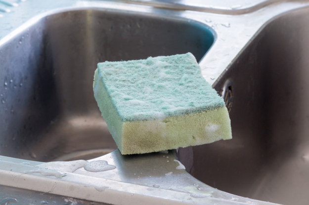 Letting sponges or brushes sit on the bottom of your sink or on the counter where they can't dry.