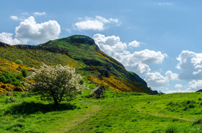 In 1836, a group of young boys was out hunting for rabbits at a nearby hill known as Arthur's Seat.