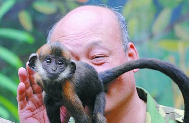 Zoo Keeper Helps Constipated Monkey Pass Peanut By Licking Its Butt For An Hour