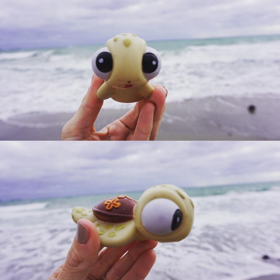 Squirt from Finding Nemo. 