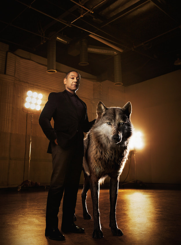 Giancarlo Esposito voices Akela, the alpha-male wolf who accepts Mowgli but also fears he'll endanger the pack.