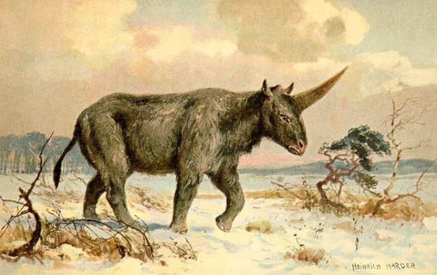 A new fossil discovered in Kazakhstan confirms that a one-horned creature walked on Earth at the same time as humans, according to a study published in the American Journal of Applied Sciences.