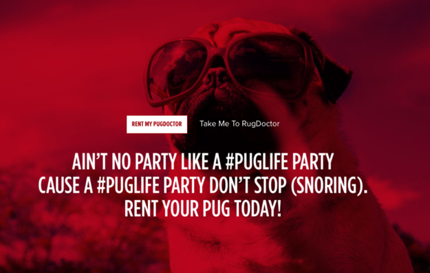 Rug Doctor rents out pugs.
