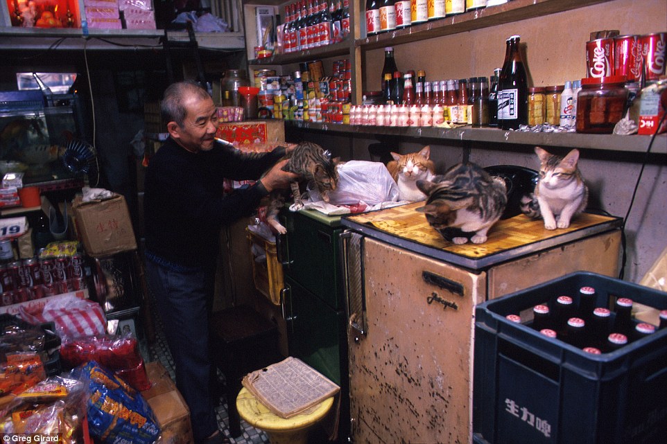 Supermarket owner Chan Pak, who sold everything from string to beer, had seven pet cats when this portrait was taken