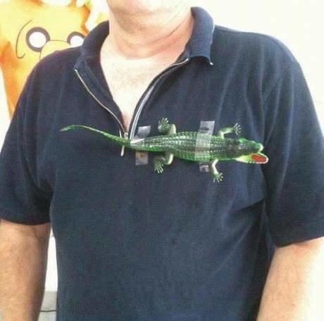 Lacoste is just too damn expensive.