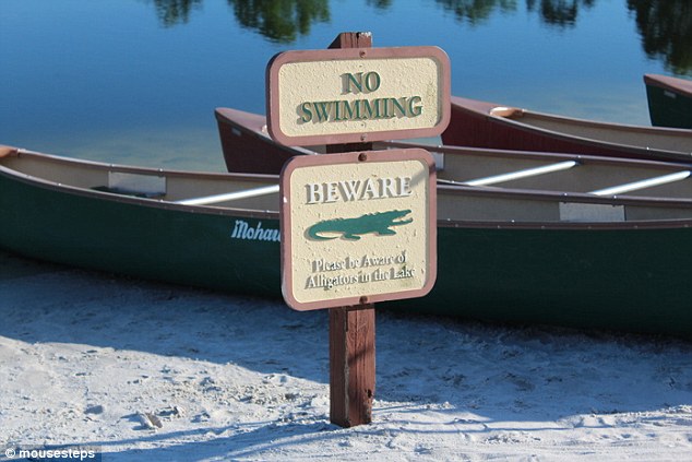 The Hyatt Regency Grand Cypress, just miles from the site of , has signs warning of alligators in its lake