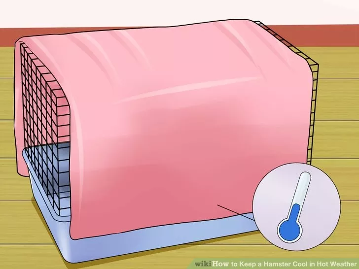 Image titled Keep a Hamster Cool in Hot Weather Step 13