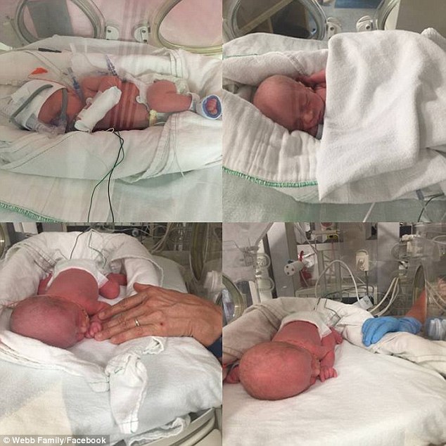 Tiny: Abigail, Mckayla, Grace and Emily, pictured in hospital, were born by C-section in May, weighing between three and four pounds each 