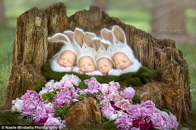 Sleepy: Sisters Abigail, Mckayla, Grace and Emily Webb, from Alberta, Canada, star in a photo shoot as baby bunnies, pictured, and bears