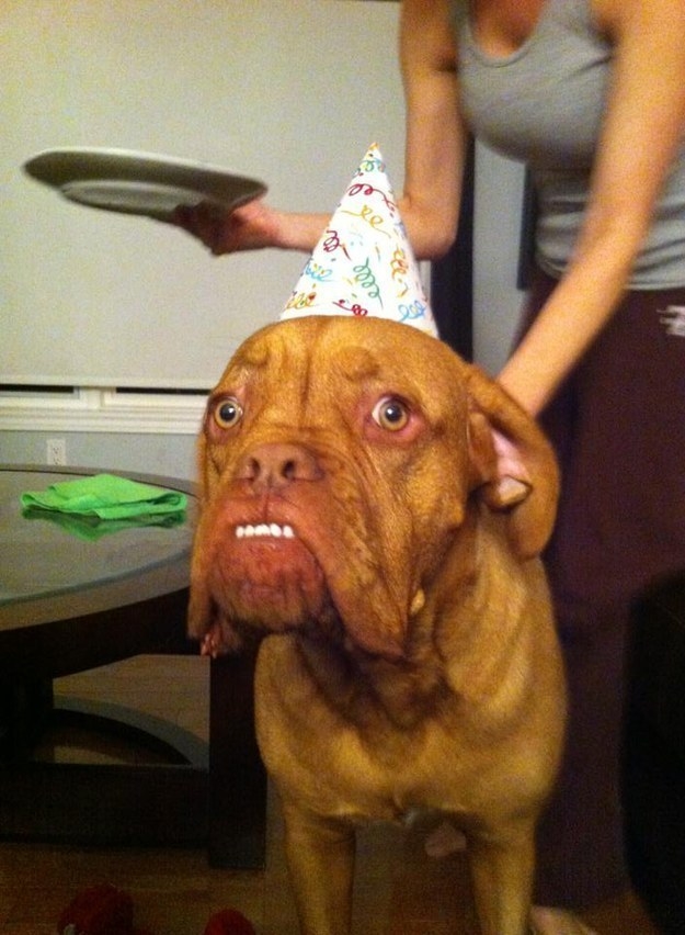 This existential birthday boy: