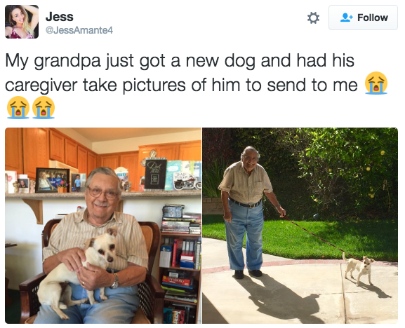 Grandpa's new dog: