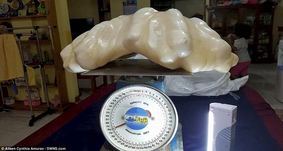 The un-named fisherman discovered this two-foot-long  pearl which weighs 34kg and could be worth as much as $100 million after it was discovered off the coast of the  Palawan Island, Philippines inside a giant claim more than a decade ago