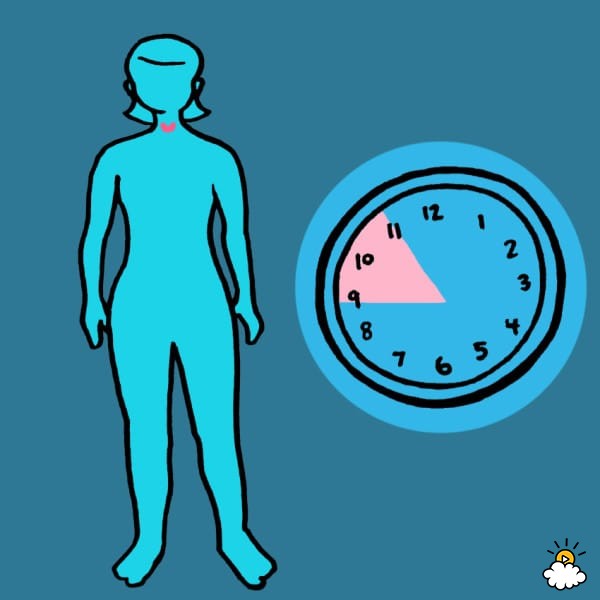 <u>Nighttime Internal Clock</u><br>9pm - 11pm: Thyroid