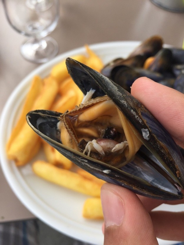 This mussel that has a tiny crab in it.