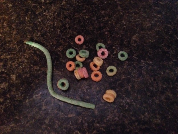 This extra-long Froot Loop that looks like a creepy worm.