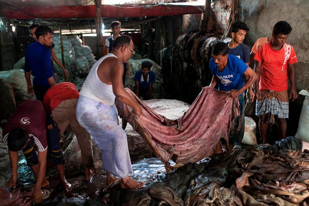 Bangladeshi worker stores and process skins of animals slaughtered during the Eid Al Adha