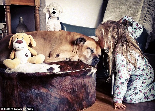 Before Jaden's death, Mr Bakker decided to capture moments from his daughter's special friendship with their pet in a series of charming images