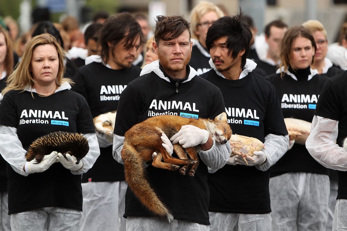 62417UNILAD imageoptim GettyImages 182567271 Vegans And Vegetarians Actually Help Kill Animals, Heres How