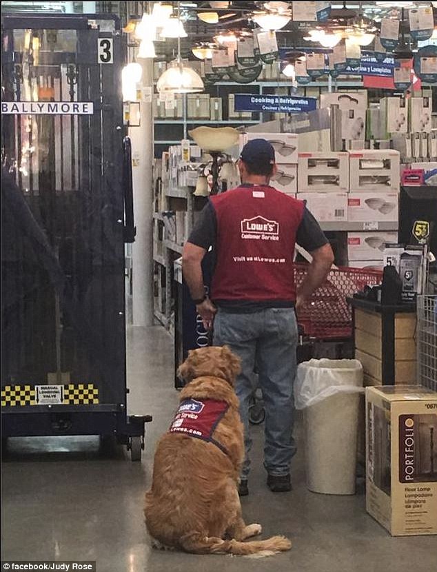 A photo of Clay Luthy and Charlotte in their red Lowe’s vests has gone viral on Facebook, garnering about 170,000 likes since being posted by an Abiliene Lowe’s customer on Tuesday