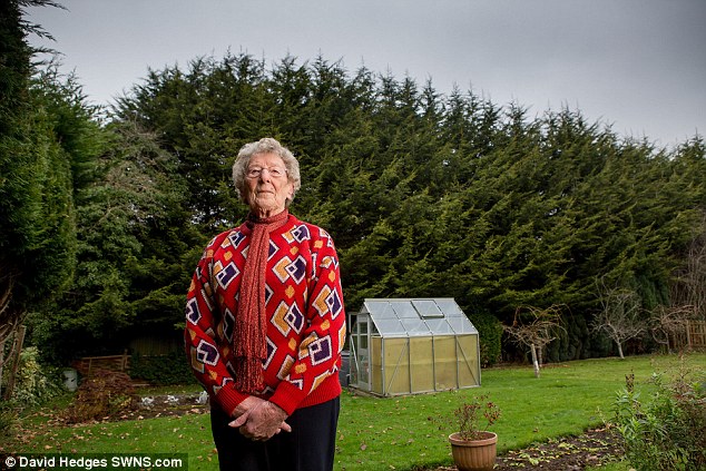 Kelley said she picked her hilltop bungalow for the sweeping views of the Somerset countryside and Solsbury Hill. But for the past decade she's been engaged with a bitter battle with a neighbour she claims is intent on ruining the vista by failing to maintain her leylandii