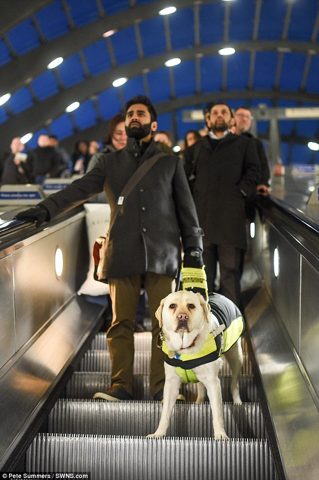 The 37-year-old claims other travellers step over his guide dog Kika and even hit her with umbrellas to move out of the way on escalators