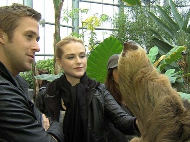 Ryan Gosling with a sloth: