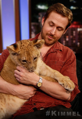 Ryan Gosling and a rare animal: