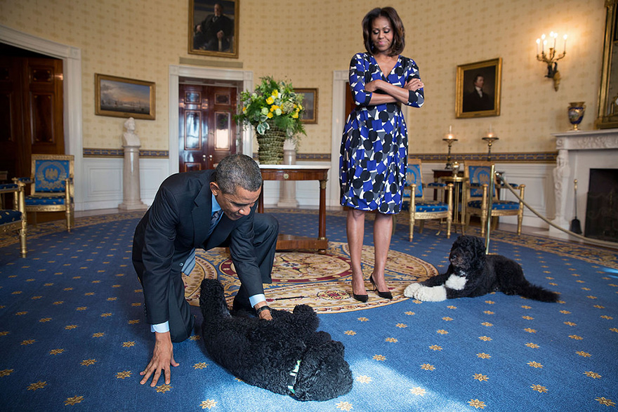 President Barack Obama And First Lady Michelle Obama, Joined By Family Pets Sunny And Bo, Wait To Greet Visitors In The Blue Room During A White House Tour, Nov. 5, 2013