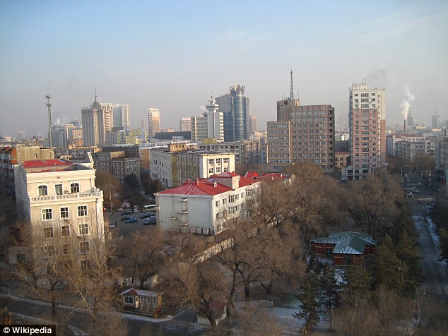 Mr Wang, who is in his 60s, lives in the Yushutun village on the outskirts of Qiqihar (pictured)