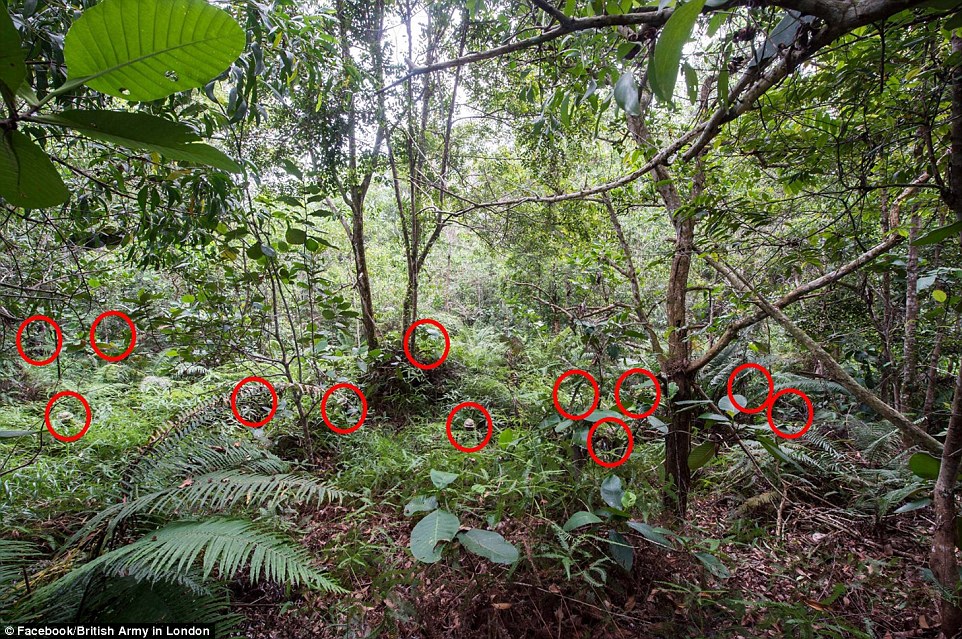 The photograph shows a dozen soldiers from one of the British Army's most elite units camouflaged in the foliage of a forest in Brunei