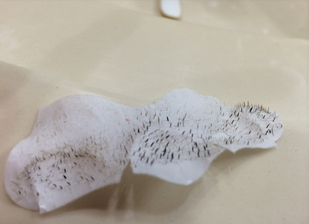 And finally, examining the congealed junk on your used pore strips.