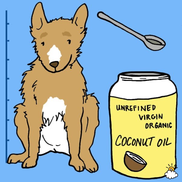 Dog coconut oil usage chart