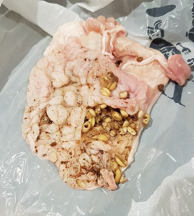 A woman has claimed she found worms and maggots inside a raw chicken she purchased from a Coles supermarket in Melbourne