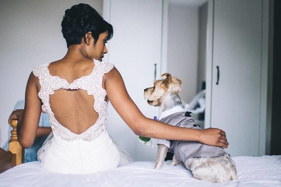 %e7%8b%97%e7%8b%97%e6%93%94%e4%bb%bb%e5%a9%9a%e7%a6%ae%e6%88%92%e7%8b%97