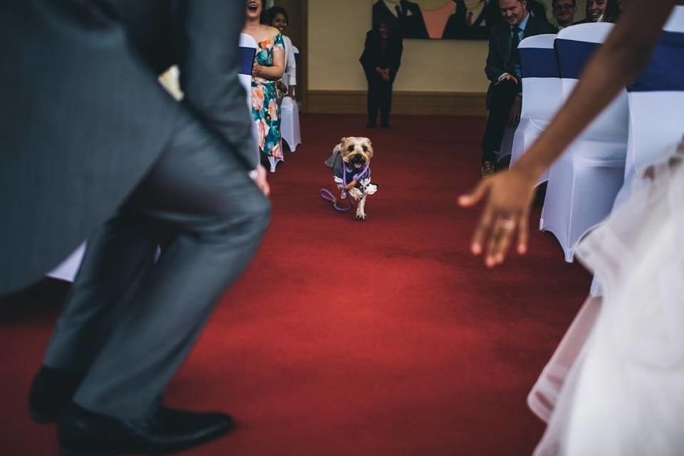 %e7%8b%97%e7%8b%97%e6%93%94%e4%bb%bb%e5%a9%9a%e7%a6%ae%e6%88%92%e7%8b%97