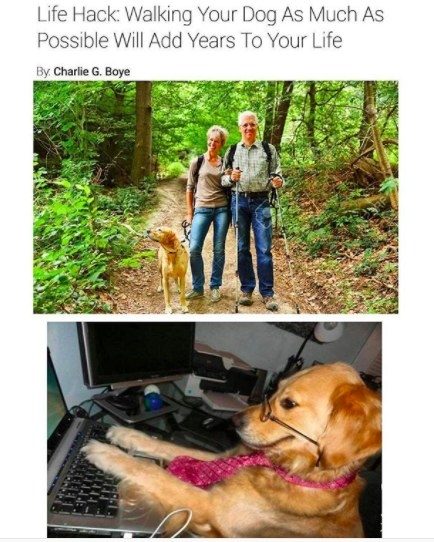 %e7%8b%97%e7%8b%97%e7%88%86%e7%ac%91%e5%9c%96